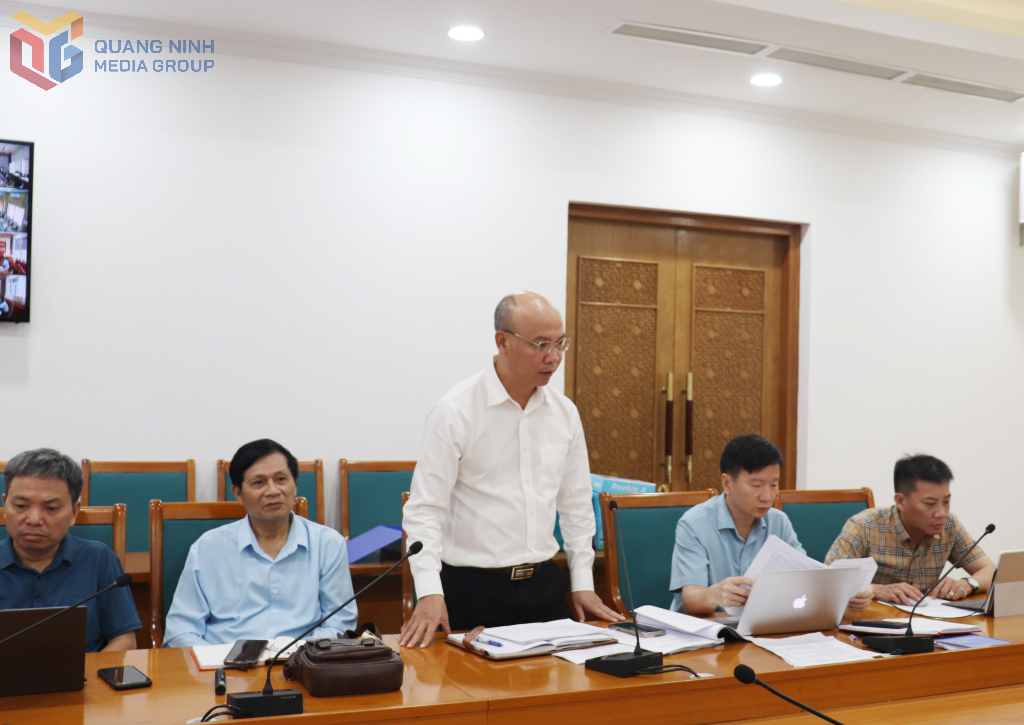 Đại diện đơn vị tư vấn phát biểu tại cuộc họp.