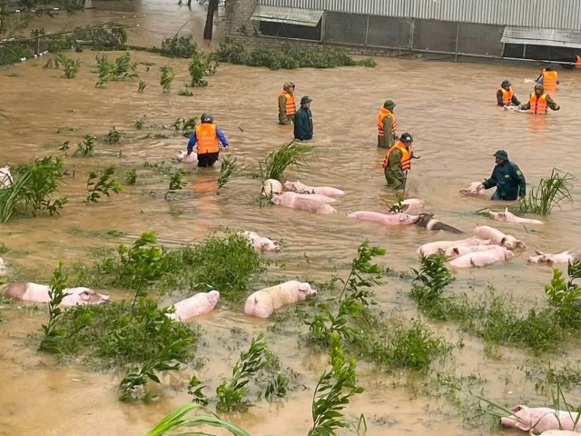 Thiệt hại nặng nề do bão số 10 tại Nghệ An: Ước tính tổn thất lên đến 2.100 tỷ đồng
