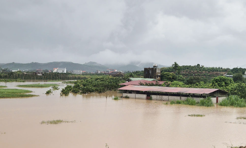 Nước trên sông Lục Nam dâng cao gây ngập úng nhiều diện tích lúa, hoa màu và công trình của người dân. Nước trên sông Lục Nam dâng cao gây ngập úng nhiều diện tích lúa, hoa màu và công trình của người dân.