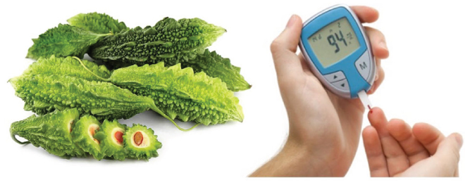 Mướp đắng là thực phẩm bổ dưỡng, có tác dụng hỗ trợ hạ đường huyết và mang lại nhiều lợi ích sức khỏe khác. Tuy nhiên, nó chưa được công nhận là phương pháp điều trị bệnh tiểu đường. Mướp đắng là thực phẩm bổ dưỡng, có tác dụng hỗ trợ hạ đường huyết và mang lại nhiều lợi ích sức khỏe khác. Tuy nhiên, nó chưa được công nhận là phương pháp điều trị bệnh tiểu đường.