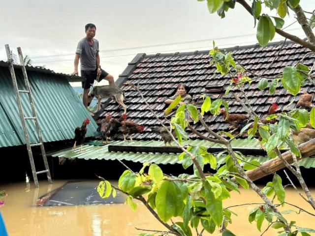 Nghệ An kêu gọi toàn dân chung tay ủng hộ đồng bào vùng bị thiệt hại do bão số 10