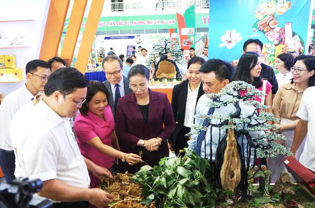 Các đại biểu tham quan gian hàng sản phẩm sâm của 1 doanh nghiệp Đà Nẵng.