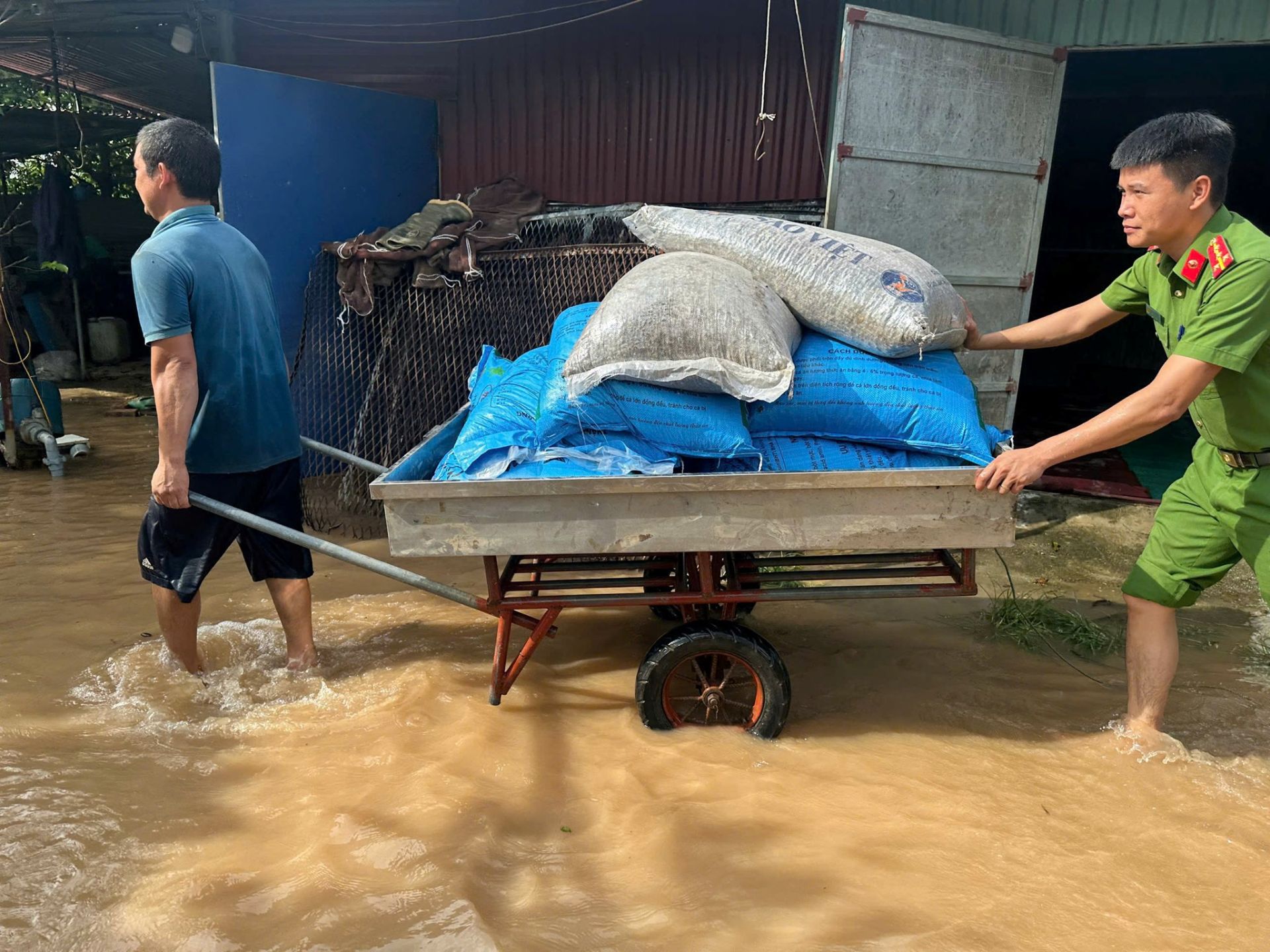 Công an xã Hợp Tiến hỗ trợ Nhân dân ứng phó nước lũ dâng cao do ảnh hưởng bão số 10. Công an xã Hợp Tiến hỗ trợ Nhân dân ứng phó nước lũ dâng cao do ảnh hưởng bão số 10.