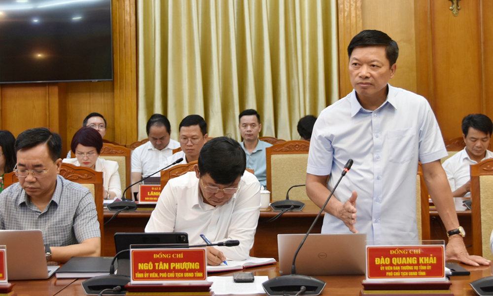 Phó Chủ tịch UBND tỉnh Đào Quang Khải phát biểu về giải pháp thúc đẩy giải ngân vốn đầu tư công những tháng cuối năm.