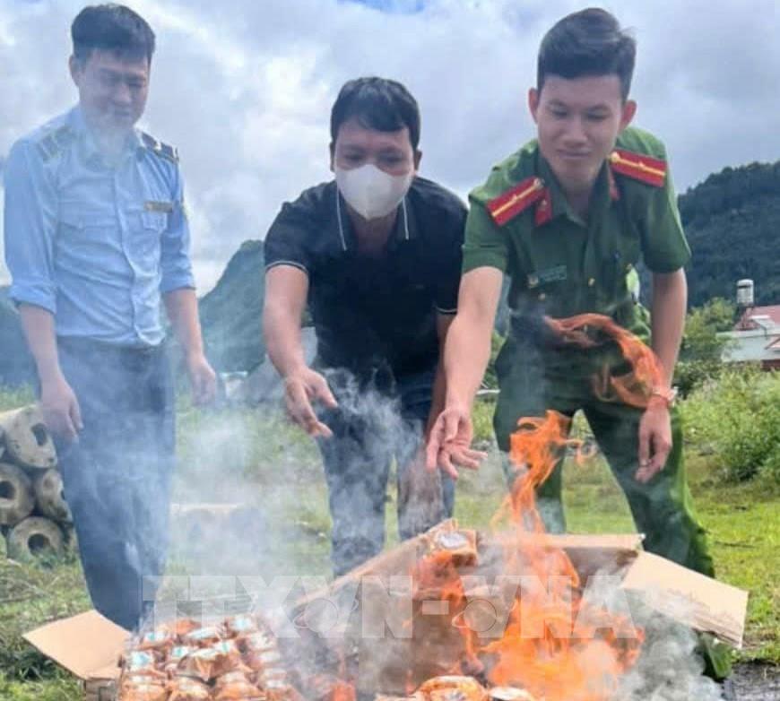 Lô hàng hóa vi phạm được tiêu hủy theo đúng quy định