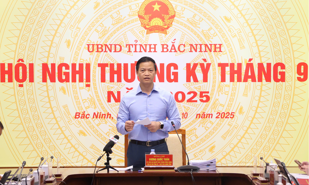 Đồng chí Vương Quốc Tuấn phát biểu kết luận hội nghị.