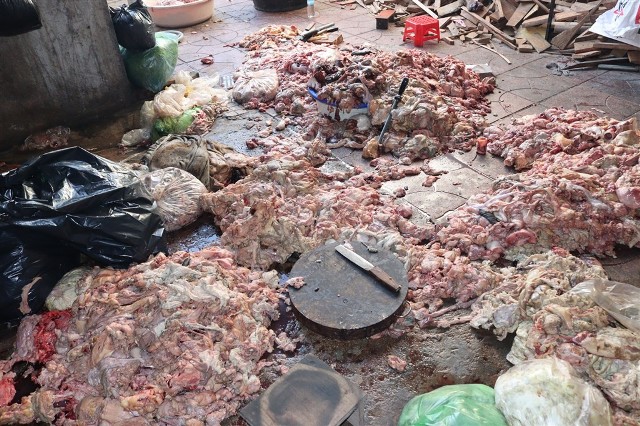 Nghệ An: Phát hiện 1,5 tấn sản phẩm động vật không rõ nguồn gốc