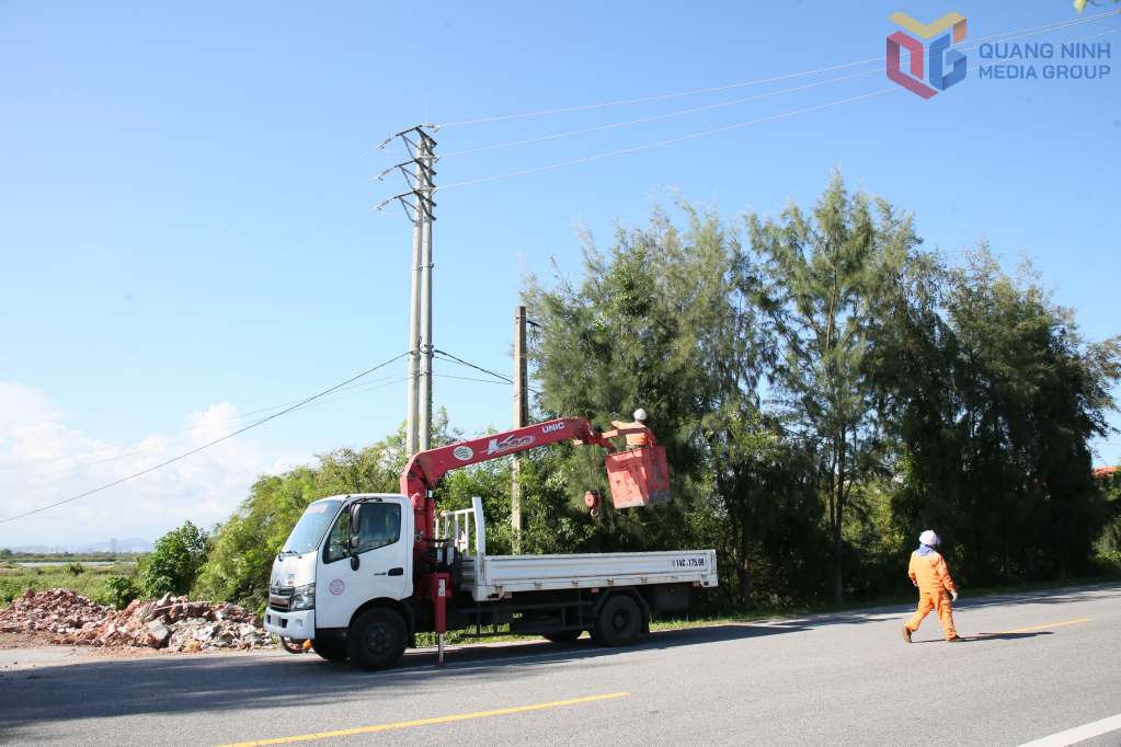 Điện lực Móng Cái tổ chức các tổ cơ động cắt tỉa cành cây, dọn dẹp vật cản, hạn chế nguy cơ gây ảnh hưởng đến an toàn lưới điện trong bão.