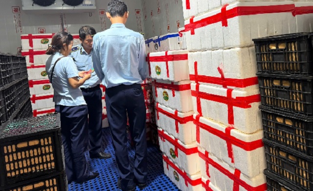 Lực lượng làm nhiệm vụ kiểm tra lô hàng. Ảnh: Thanh Diễm.