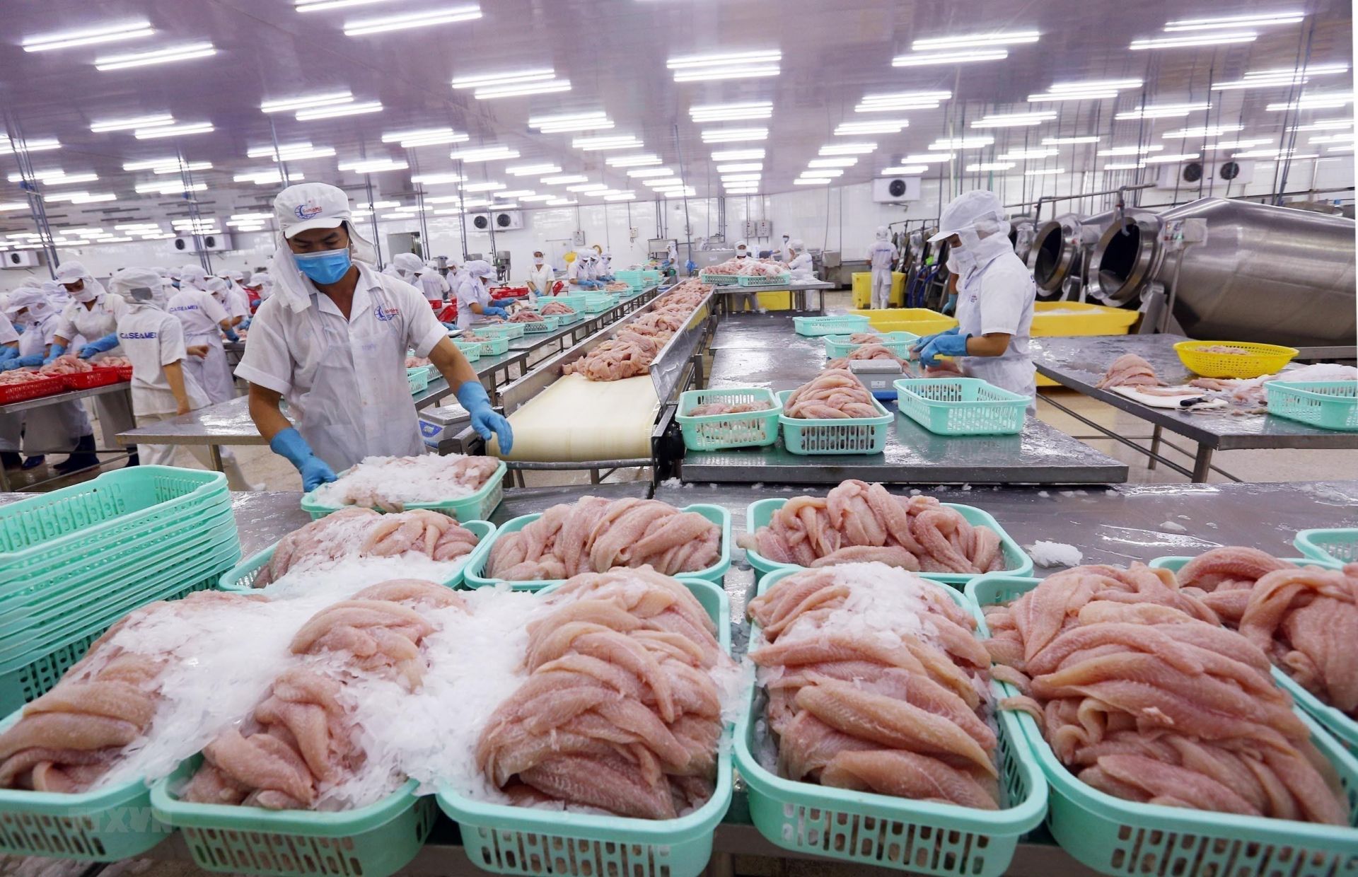 9 tháng đầu năm 2025, xuất khẩu thủy sản Việt Nam đạt trên 8,3 tỷ USD.