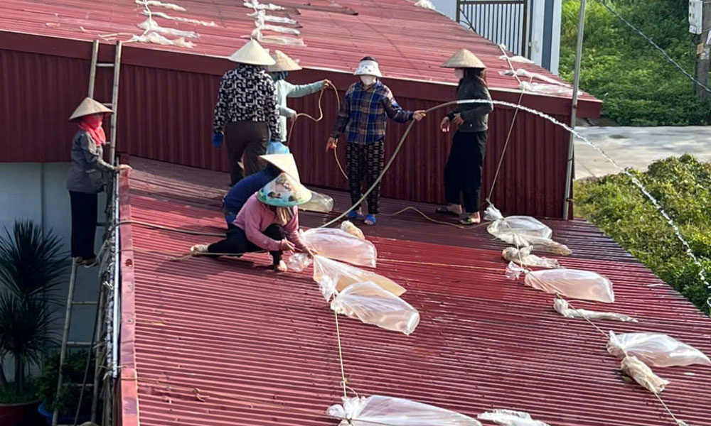 Giáo viên Trường Mầm mon Cẩm Lý đặt các bao nước lên trên mái nhà để đề phòng giông lốc tốc mái.