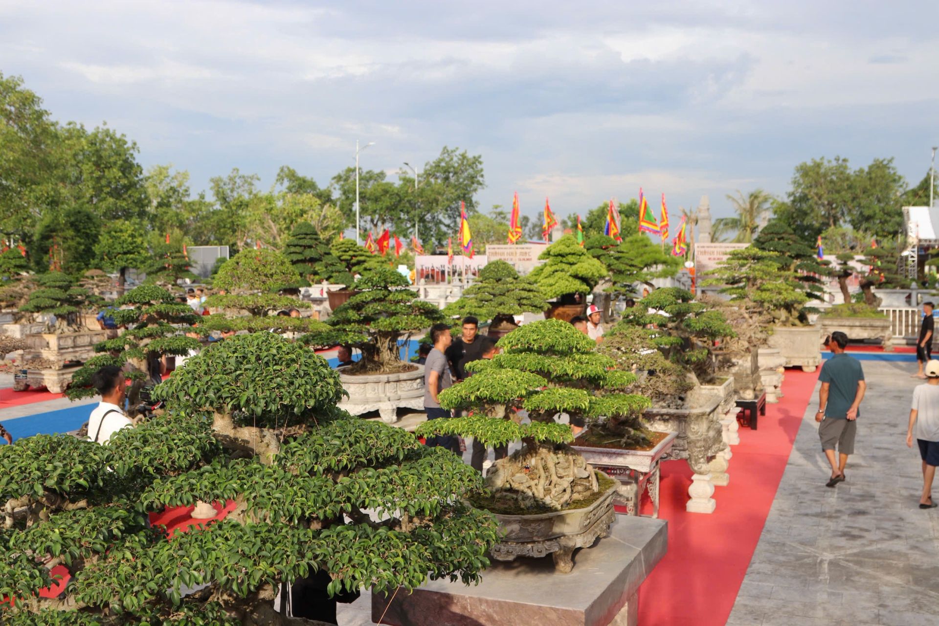 250 tác phẩm cây cảnh được trưng bày tại chương trình. 250 tác phẩm cây cảnh được trưng bày tại chương trình.