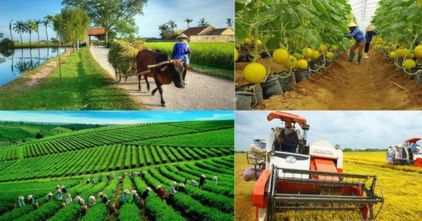 OCOP hoạt động như một OCOP hoạt động như một