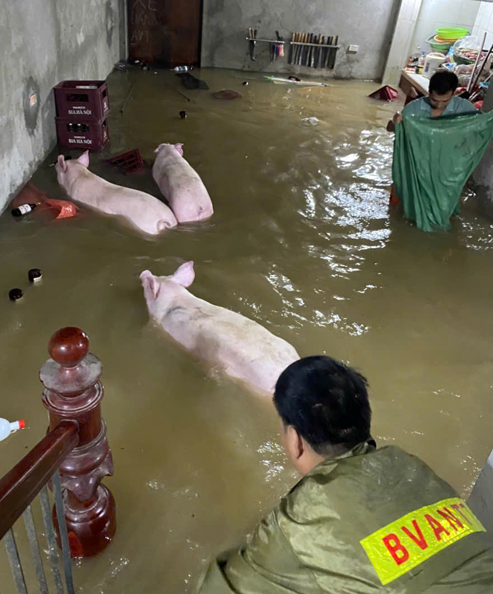 Lực lượng chức năng xã Tam Tiến hỗ trợ Nhân dân di chuyển đồ đạc đến nơi an toàn. Lực lượng chức năng xã Tam Tiến hỗ trợ Nhân dân di chuyển đồ đạc đến nơi an toàn.