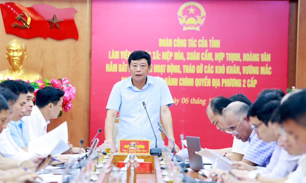 Đồng chí Ngô Tân Phượng phát biểu tại buổi làm việc.