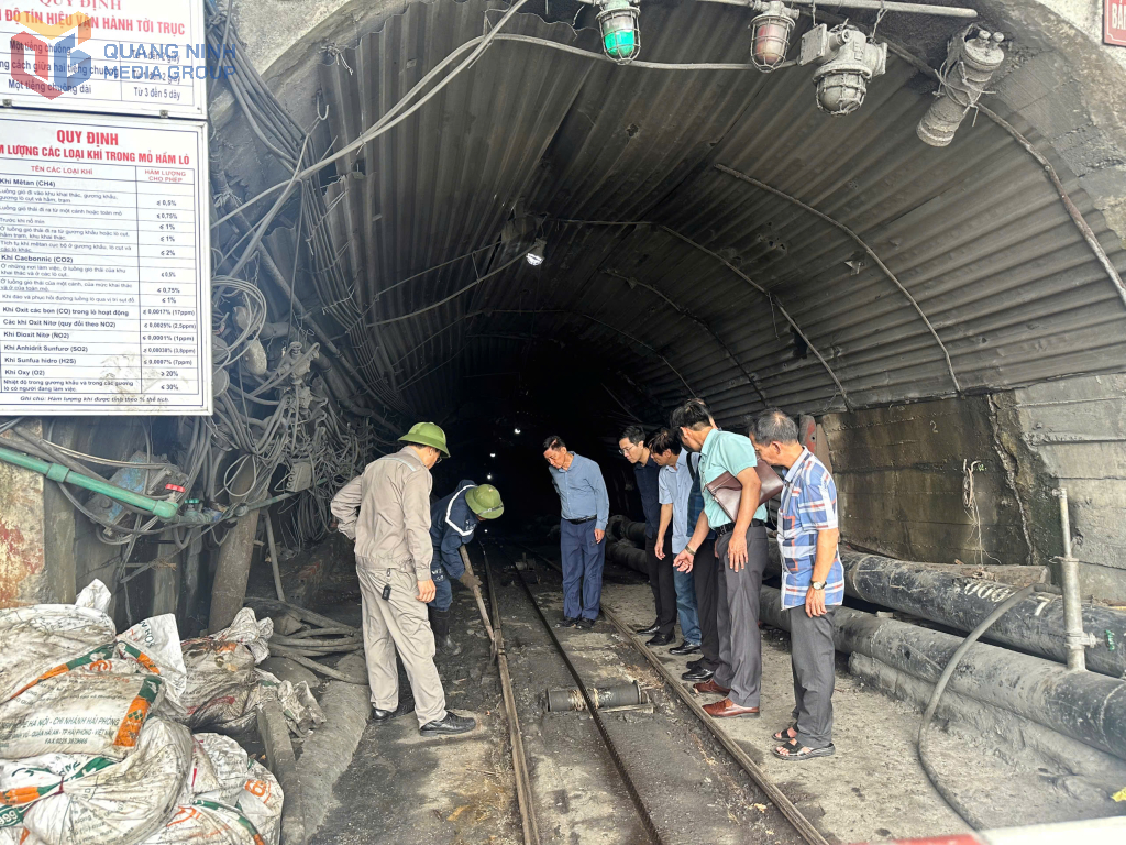 Khảo sát các đề tài tham gia Hội thi Sáng tạo kỹ thuật tỉnh Quảng Ninh lần thứ X