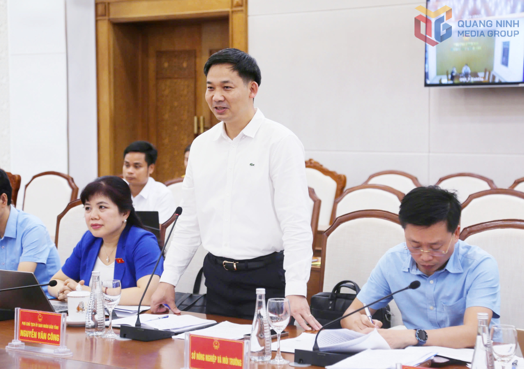 &Ocirc;ng Nguyễn Văn C&ocirc;ng, Ph&oacute; Chủ tịch UBND tỉnh Quảng Ninh ph&aacute;t biểu tại buổi l&agrave;m việc.