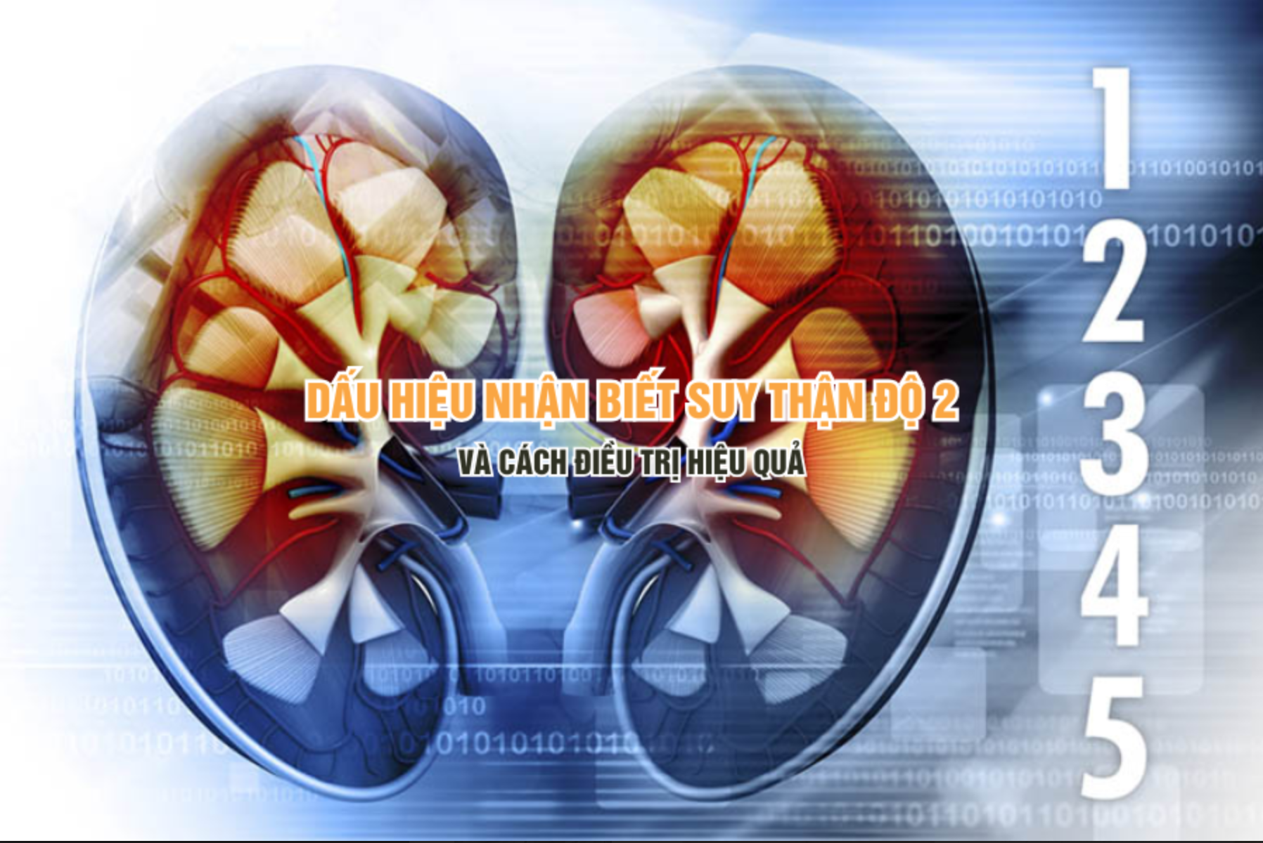 Dấu hiệu nhận biết suy thận độ 2 và cách điều trị hiệu quả