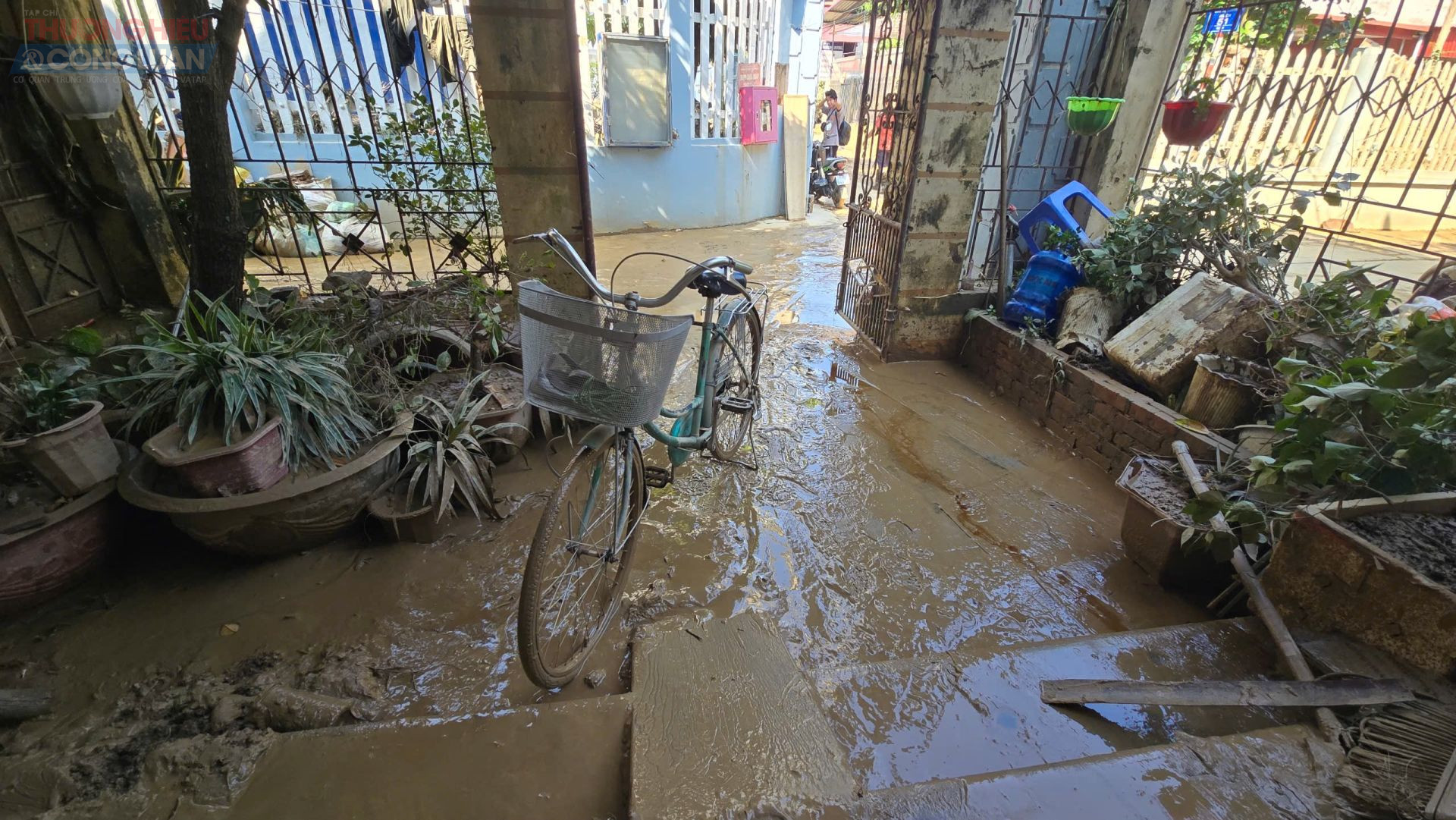 Một góc nhà chìm trong bùn, chiếc xe đạp phủ đất, chậu cây nghiêng ngả – khung cảnh nhỏ nhưng chứa cả nỗi đau lớn: nước rút rồi, nhưng nỗi khổ thì vẫn ngập tràn.