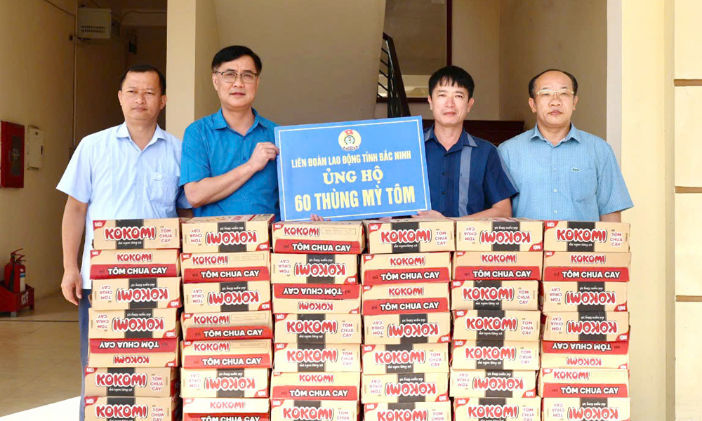 Đại diện lãnh đạo Liên đoàn Lao động tỉnh trao nhu yếu phẩm hỗ trợ người dân xã Mỹ Thái