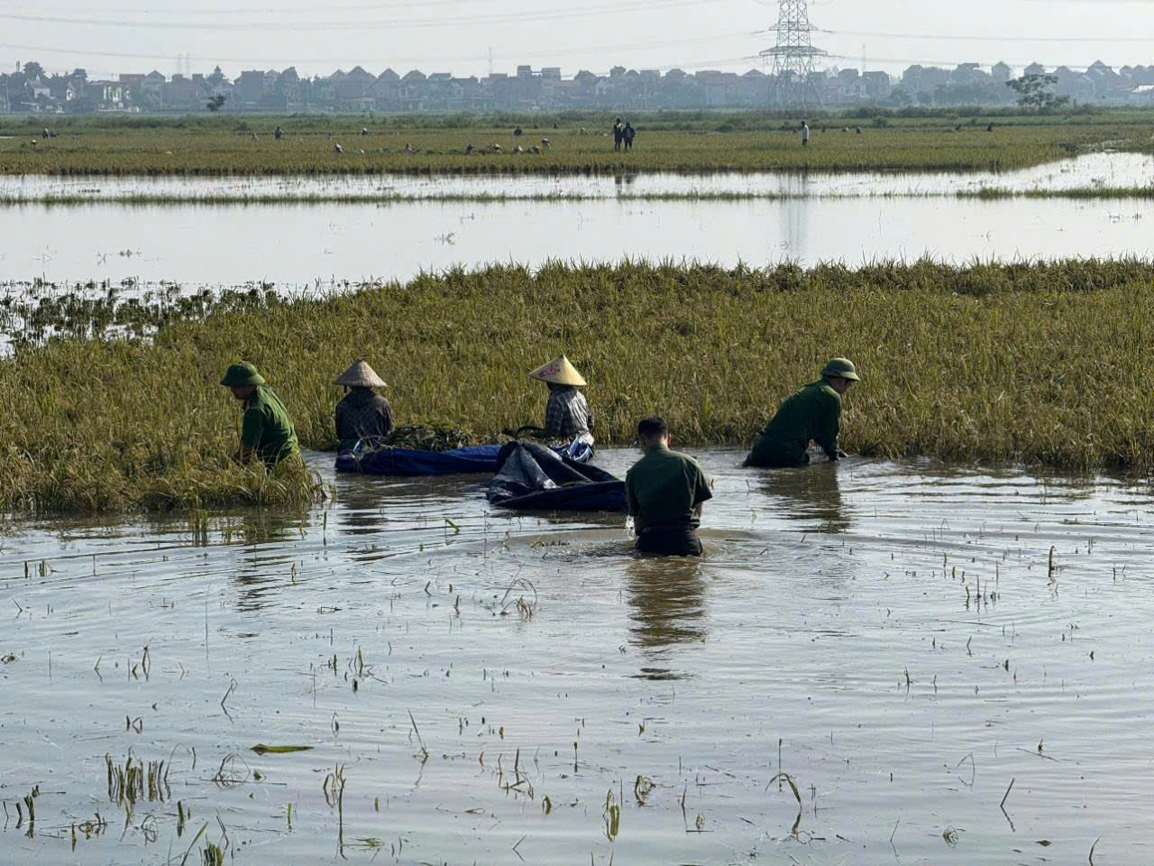 Công an Hà Nội Công an Hà Nội