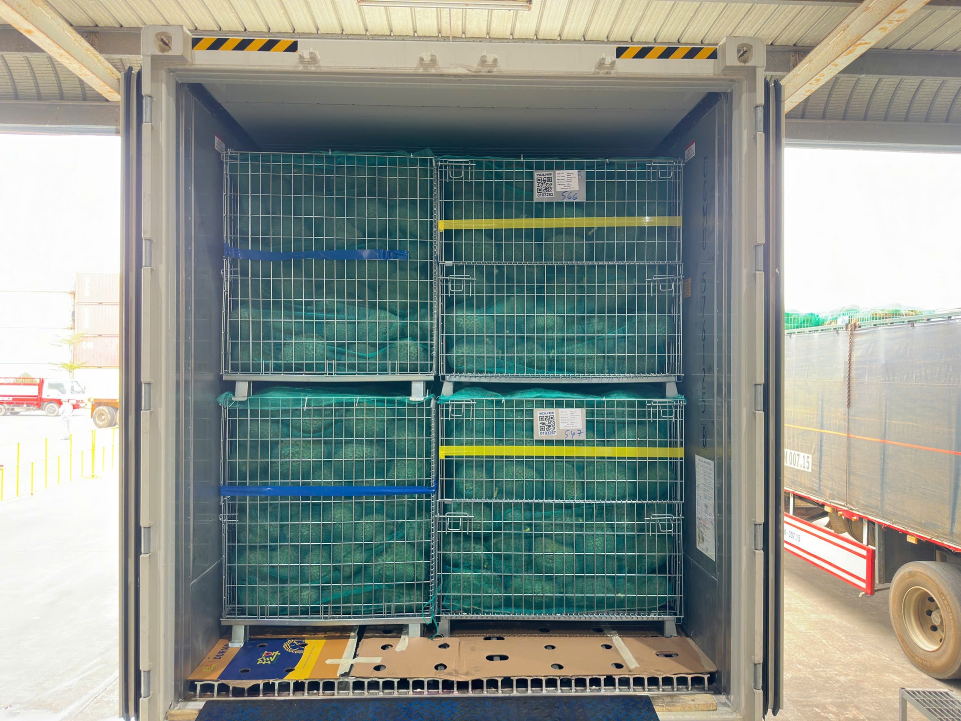 Sầu riêng được vận chuyển, đóng container, lưu bãi và xuất khẩu qua Cảng quốc tế Chu Lai