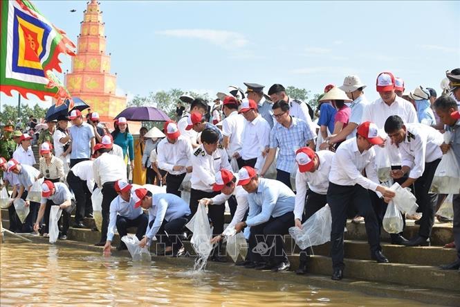 Hải Phòng thả 5 vạn cá giống tái tạo nguồn lợi thủy sản trên sông Lục Đầu