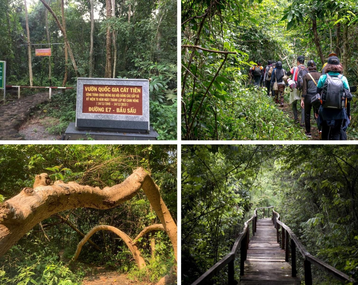 Vườn Quốc gia Cát Tiên được vinh danh tại Giải thưởng Du lịch Sinh thái châu Á 2025