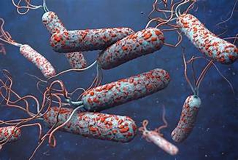 Ảnh minh họa. Nguồn Internet