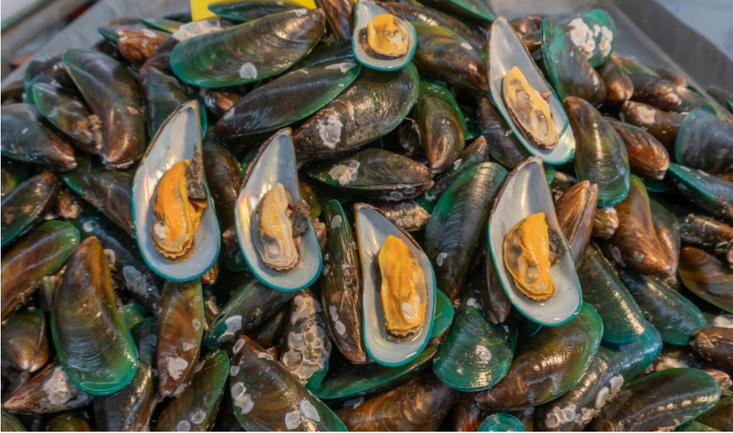 Sản phẩm chứa dầu vẹm xanh giúp cải thiện triệu chứng thoát vị đĩa đệm hiệu quả