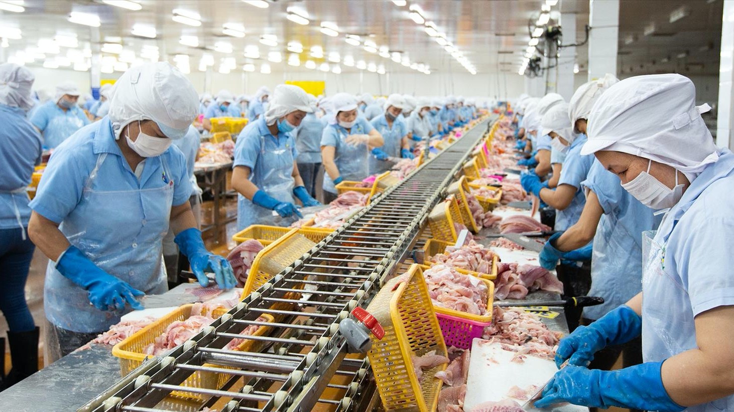 Thủy sản Nam Việt đã hoàn thành vượt kế hoạch lợi nhuận trước thuế năm 2025, đạt 513,9 tỷ đồng, tương đương vượt 2,8% so với mục tiêu đề ra là 500 tỷ đồng. (Ảnh minh họa) Thủy sản Nam Việt đã hoàn thành vượt kế hoạch lợi nhuận trước thuế năm 2025, đạt 513,9 tỷ đồng, tương đương vượt 2,8% so với mục tiêu đề ra là 500 tỷ đồng. (Ảnh minh họa)