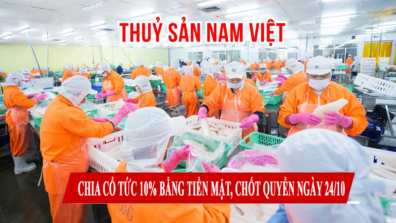 Thủy sản Nam Việt chia cổ tức 10% bằng tiền mặt, chốt quyền ngày 24/10