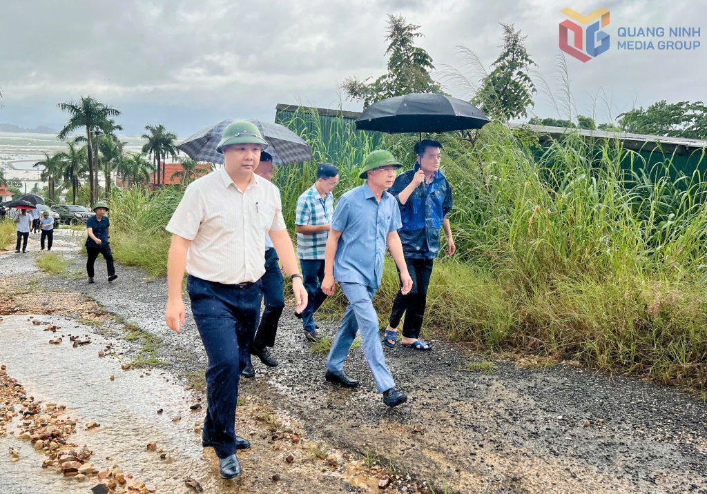 Phó Chủ tịch UBND tỉnh Quảng Ninh Lê Văn Ánh thực địa công tác GPMB.