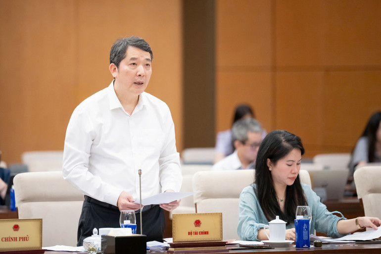 Thứ trưởng Tài chính Cao Anh Tuấn trình bày tờ trình dự án Luật.