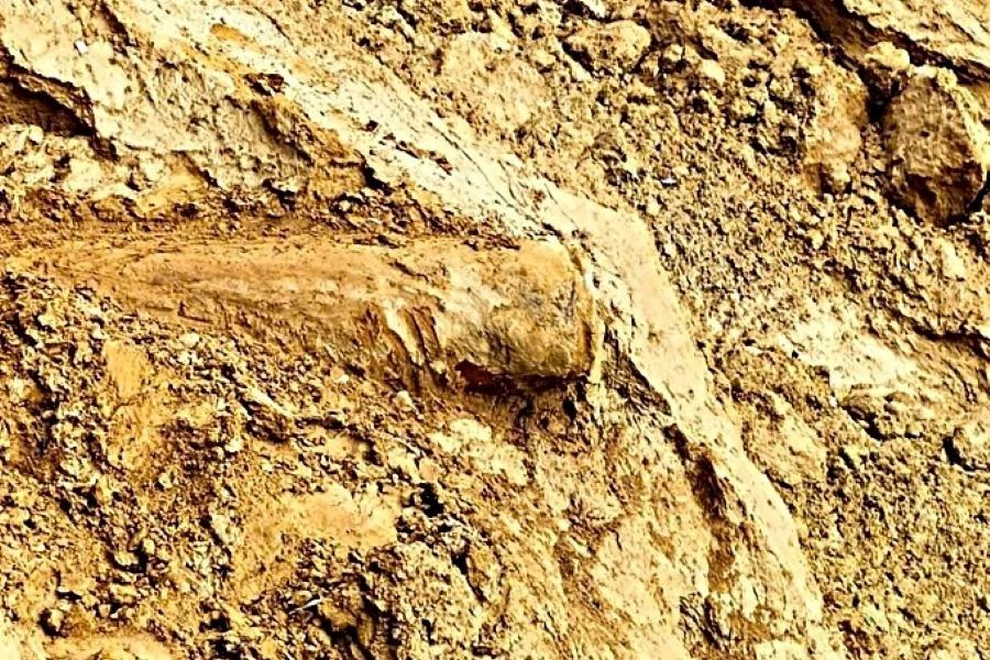 Quả bom có chiều dài 1,5m nặng gần 200kg. Quả bom có chiều dài 1,5m nặng gần 200kg.