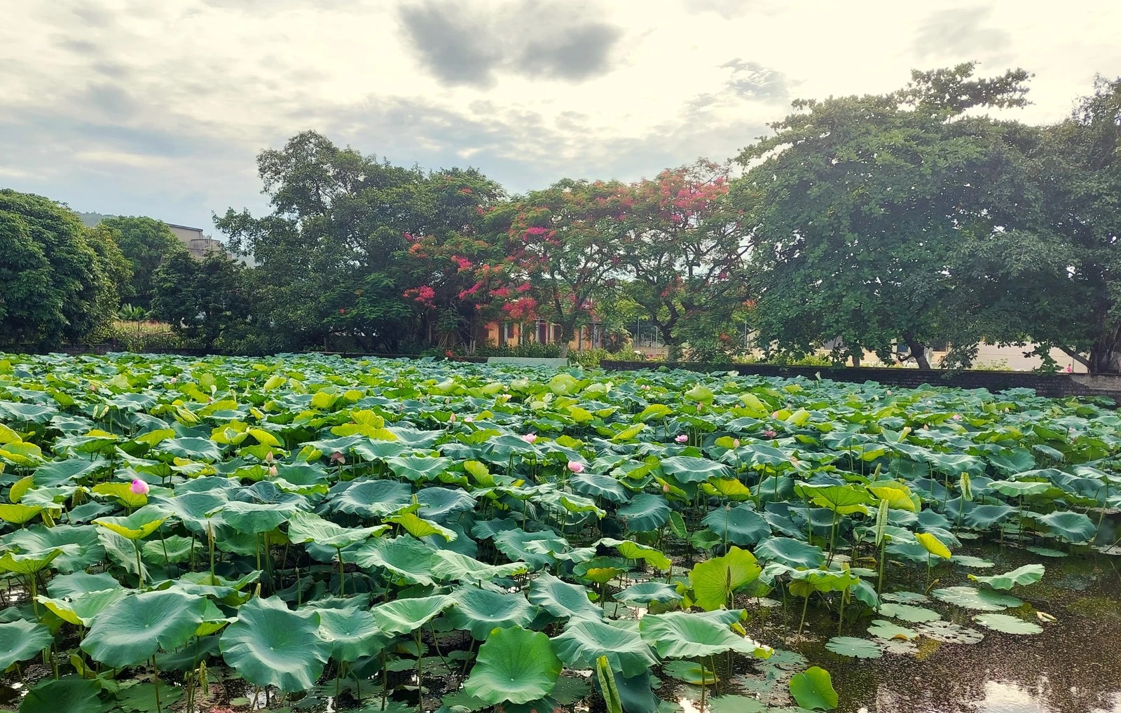 Nhờ phát huy tinh thần đoàn kết, Thanh Hóa đã xây dựng được nhiều làng quê nông thôn mới đáng sống