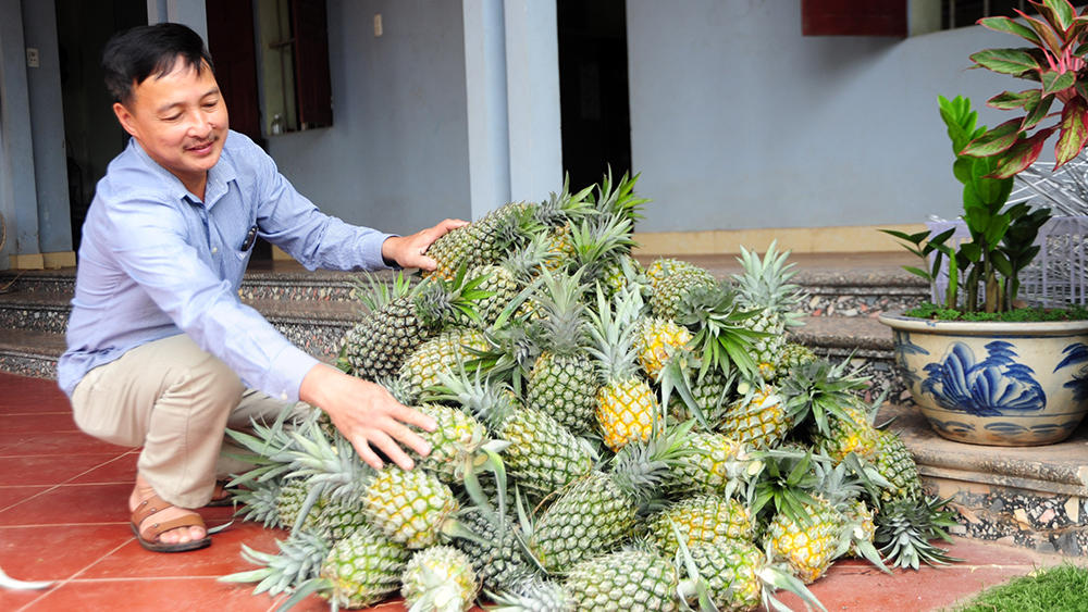 Bắc Ninh có 668 sản phẩm OCOP đạt 3 sao