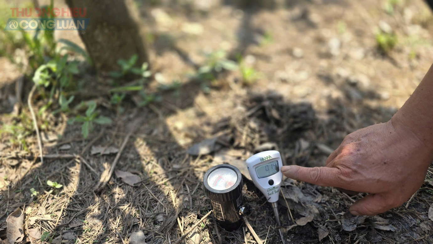 Với công cụ chuyên dụng gồm chiếc bút đo pH cùng thiết bị kiểm tra dinh dưỡng, anh Thắng tỉ mỉ hướng dẫn bà con về các chỉ số dinh dưỡng của đất khiến ai nấy đều trầm trồ.