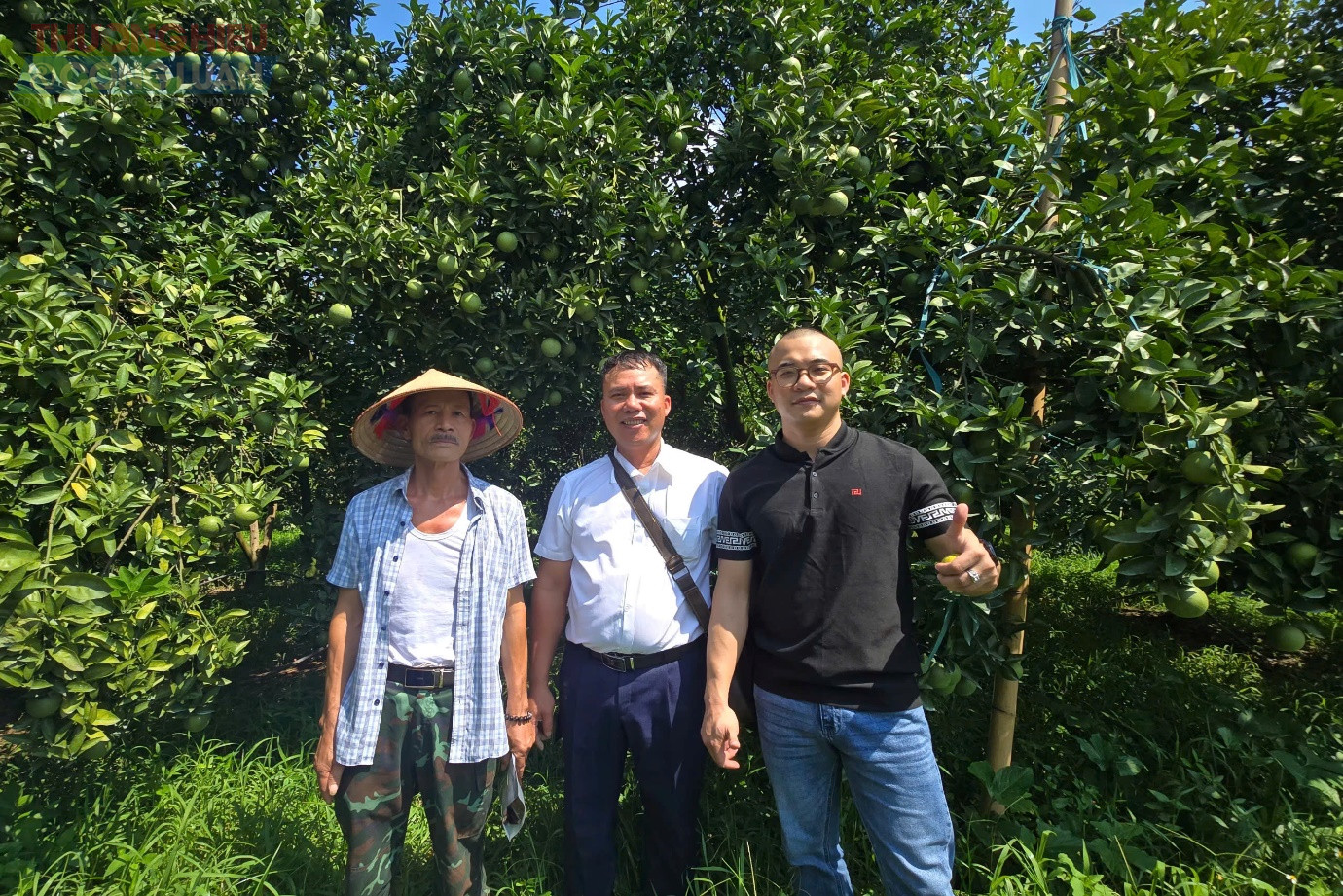 Giữ đất lành, nuôi cây khỏe: Con đường xanh từ đạm cá hữu cơ