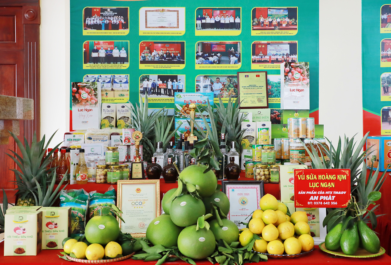 Bắc Ninh triển khai tổ chức tham gia Hội chợ Mùa Thu 2025