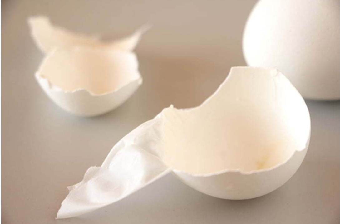 Sản phẩm chứa màng vỏ trứng kết hợp thảo dược giúp làm trơn khớp, giảm nguy cơ thoái hóa khớp