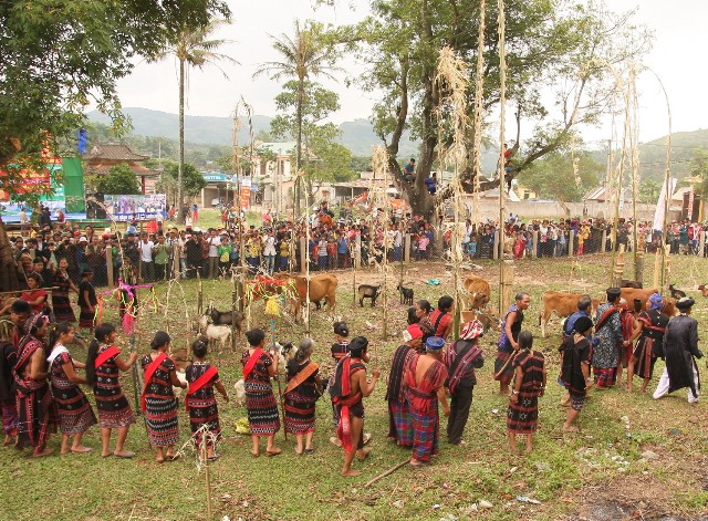 Lễ hội Ariêu piing của người Tà Ôi/Pa Cô tỉnh Quảng Trị vừa được đề nghị đưa vào di sản văn hóa phi vật thể quốc gia.