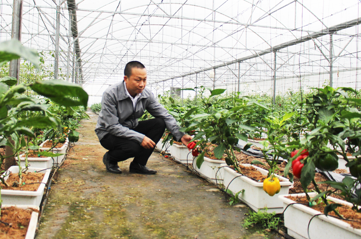 Bắc Ninh có 3 cá nhân được tôn vinh nông dân Việt Nam xuất sắc và nhà khoa học của nhà nông năm 2025