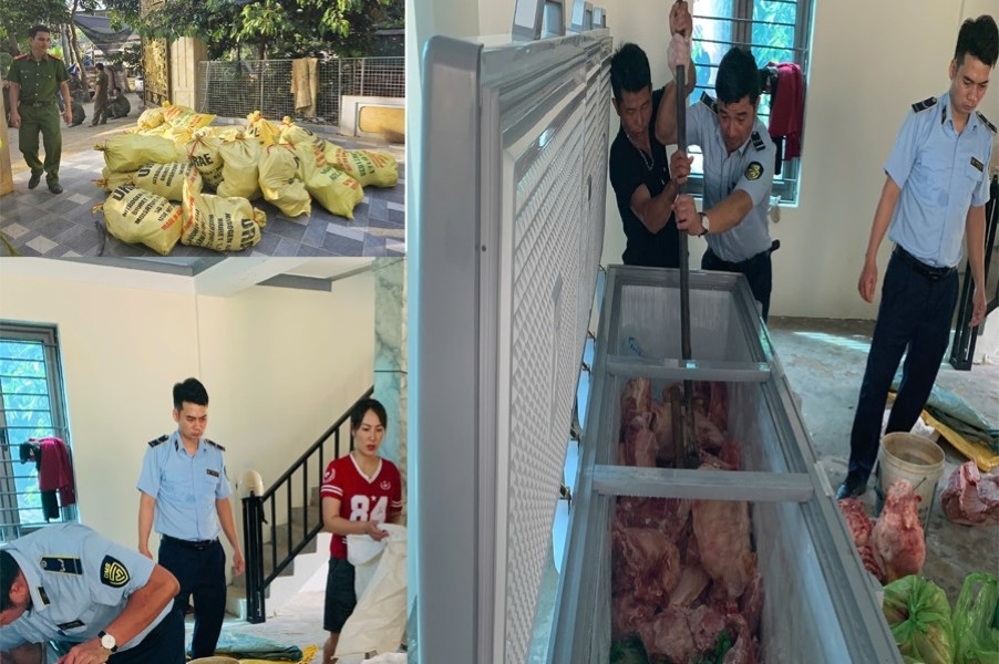 Lực lượng chức năng kiểm tra, thu giữ 1,6 tấn thịt lợn nhiễm virus dịch tả lợn châu Phi.