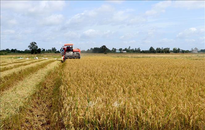 Đẩy mạnh chuyển đổi số và chiến lược phát triển khuyến nông đến năm 2030