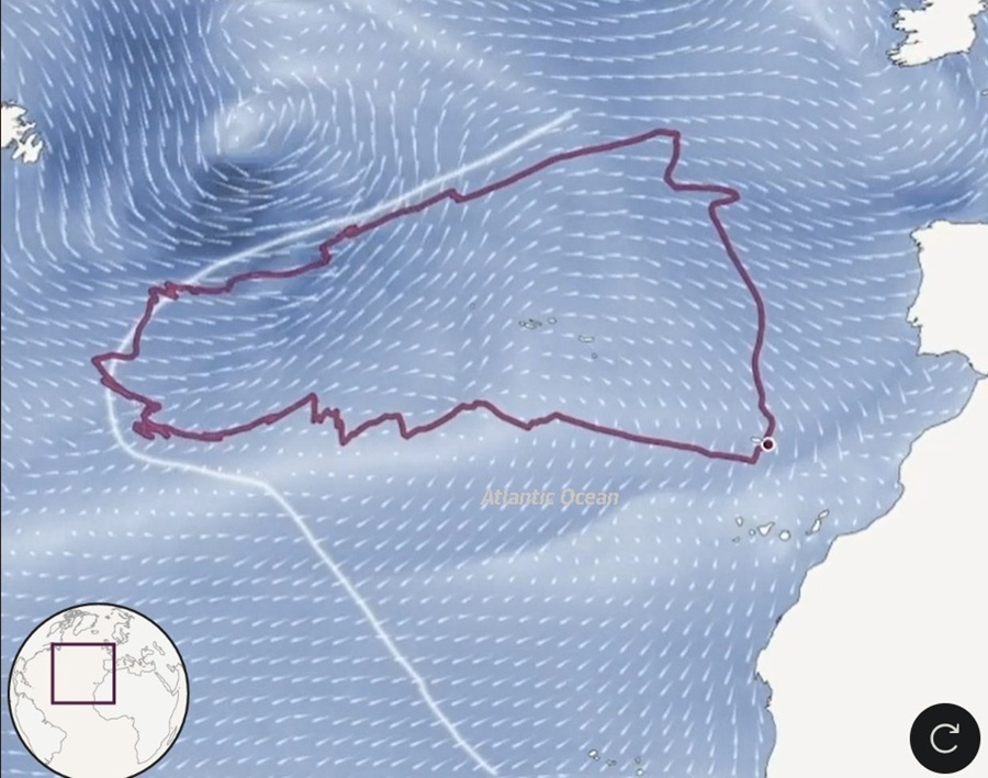 Mô tả tuyến đường di cư của chim