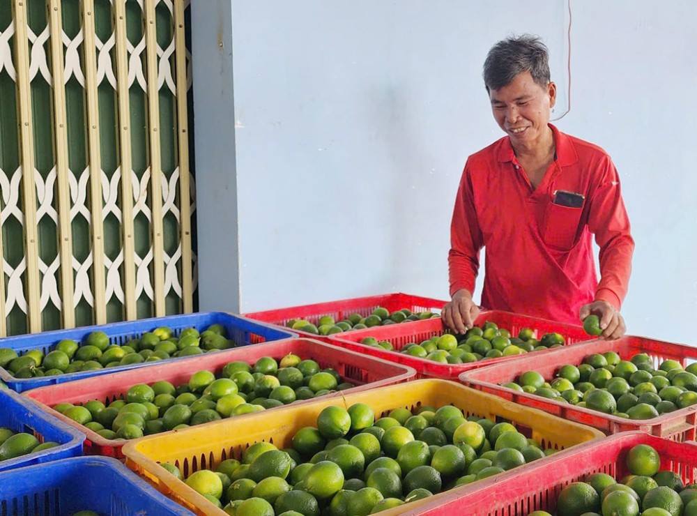 Tây Ninh hỗ trợ hợp tác xã sản xuất nông nghiệp tốt trong nông nghiệp, thủy sản