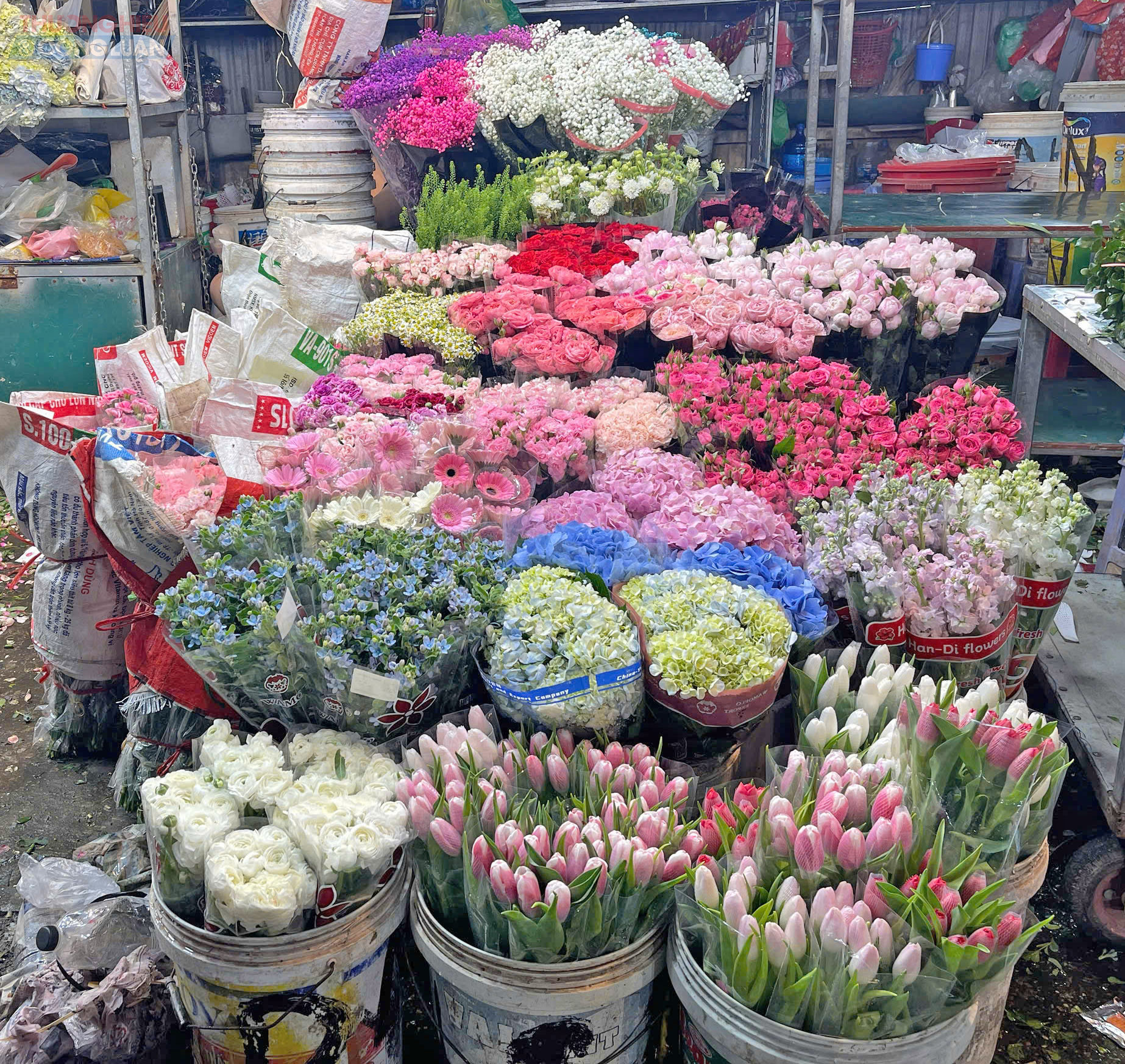 Muôn sắc hoa được bày bán tại chợ hoa Quảng An. Muôn sắc hoa được bày bán tại chợ hoa Quảng An.