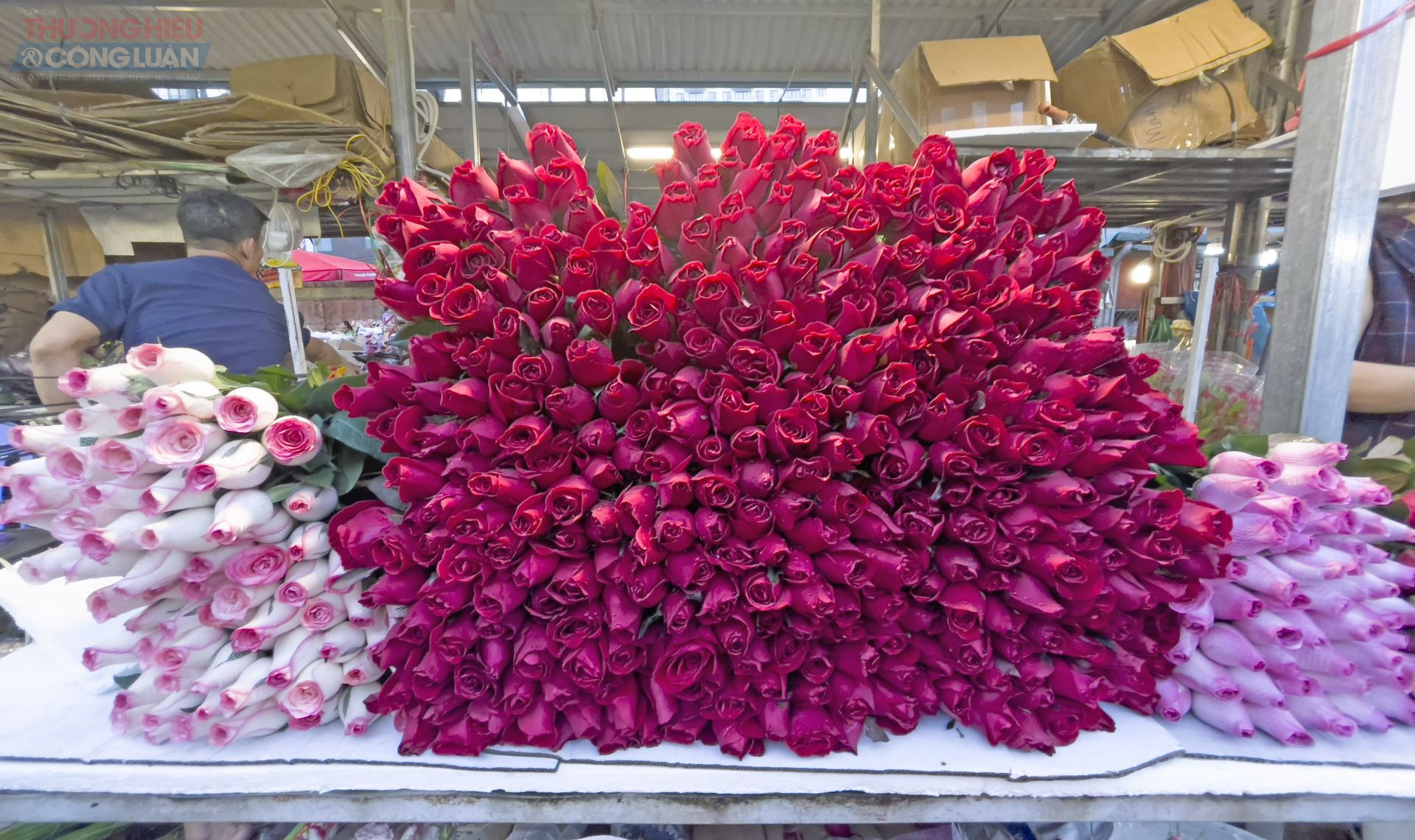 Những bó hồng đỏ thắm xếp cao rực rỡ trong ánh đèn chợ. Những bó hồng đỏ thắm xếp cao rực rỡ trong ánh đèn chợ.