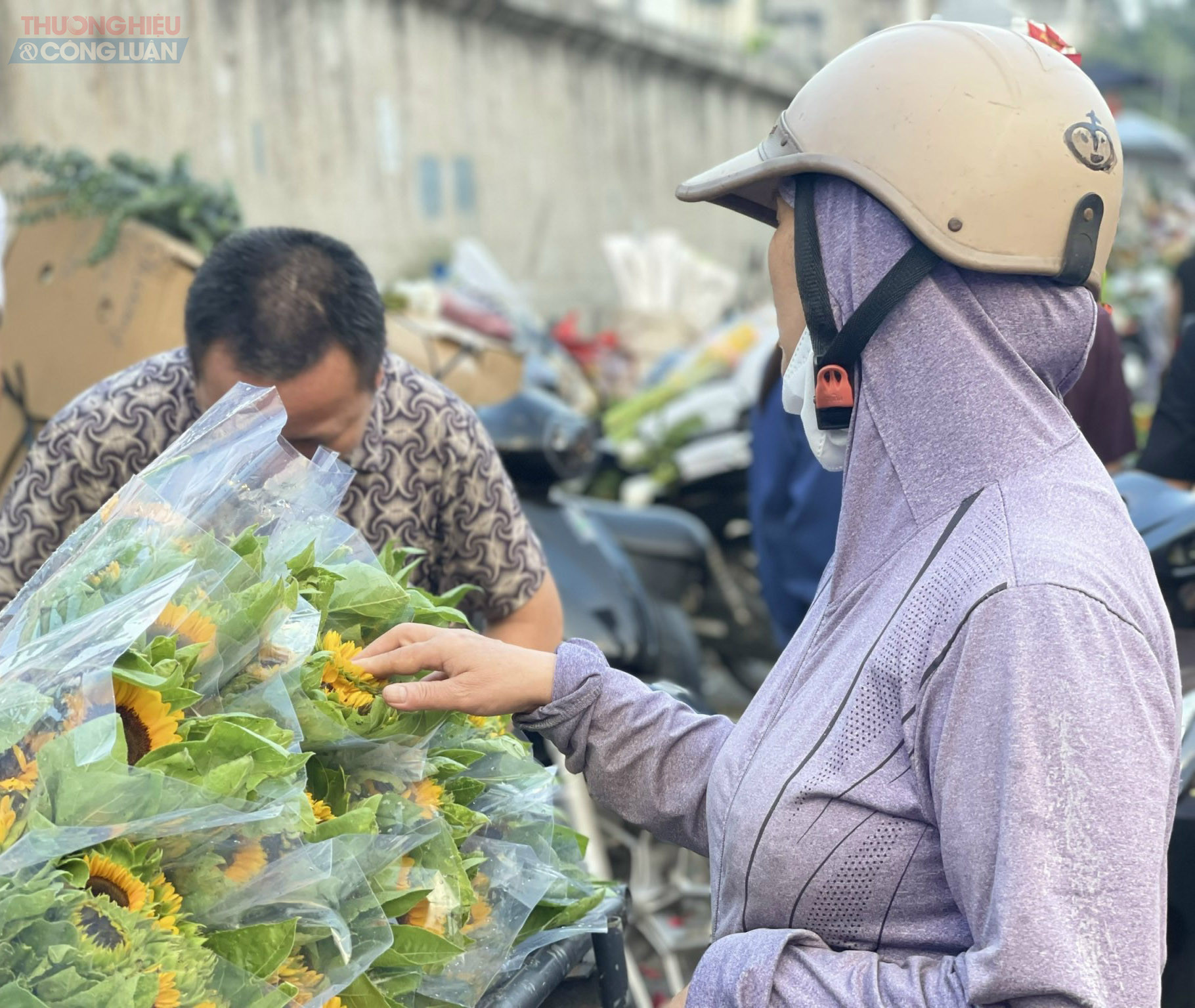 Sắc hoa rực rỡ trong tay người chọn lựa giữa buổi sớm. Sắc hoa rực rỡ trong tay người chọn lựa giữa buổi sớm.